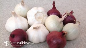onions-garlic-vegetables-650x