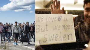 Tens of thousands of migrants have passed through Denmark to enter Sweden during 2015 and 2016, attracted by Sweden's generous welfare payments and free housing