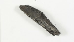 This undated photo released by the Israel Antiquities Authority shows an ancient charred scroll destroyed in a fire centuries ago