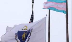 transgender flag